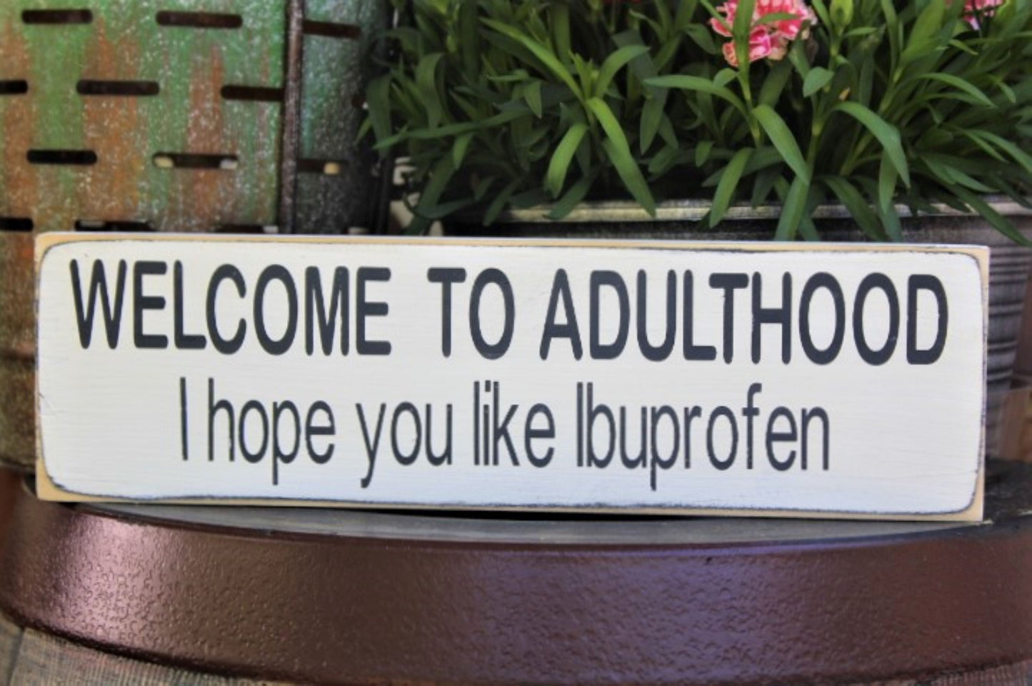 Welcome to Adulthood I hope you like Ibuprofen
