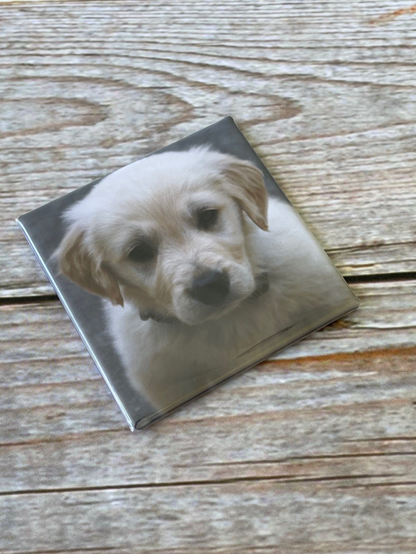 Set of 9 Custom Photo Magnets