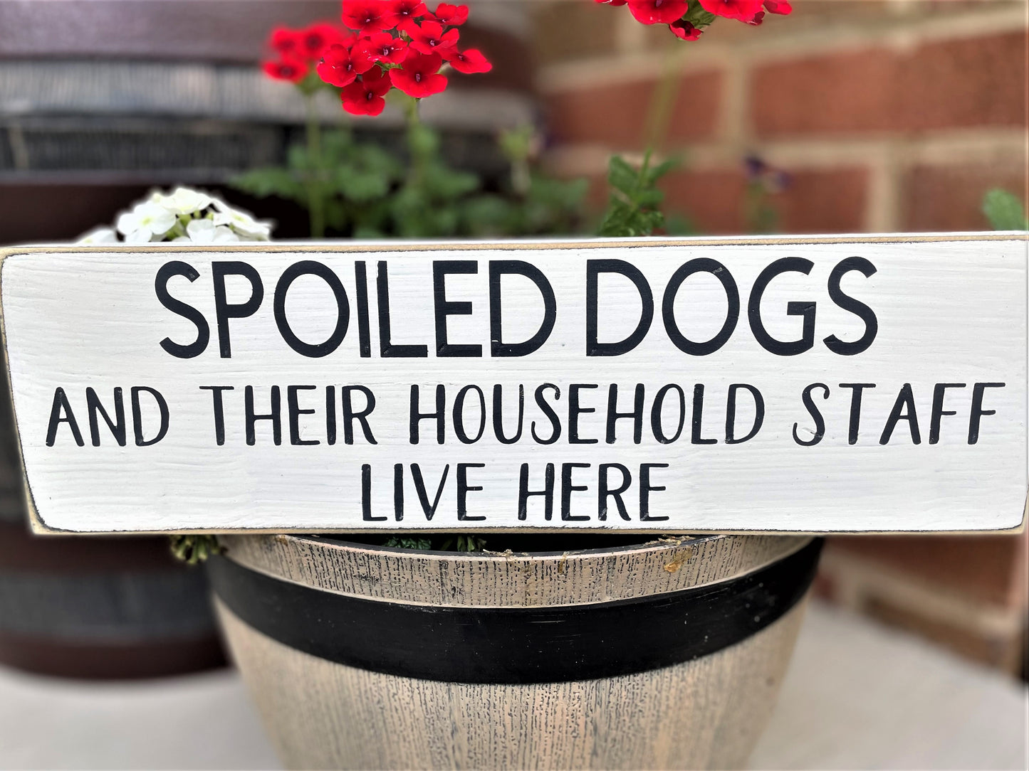 Spoiled Dogs and their household staff live here